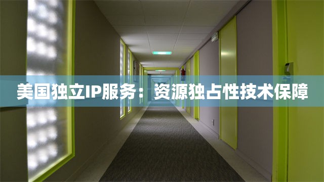 美国独立IP服务：资源独占性技术保障