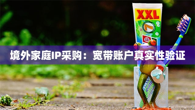 境外家庭IP采购：宽带账户真实性验证