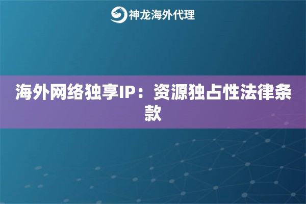 海外网络独享IP：资源独占性法律条款