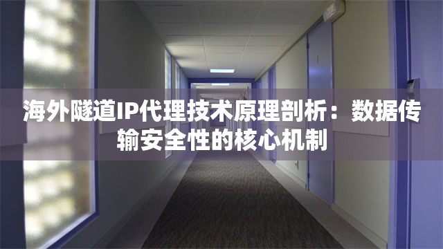 海外隧道IP代理技术原理剖析：数据传输安全性的核心机制