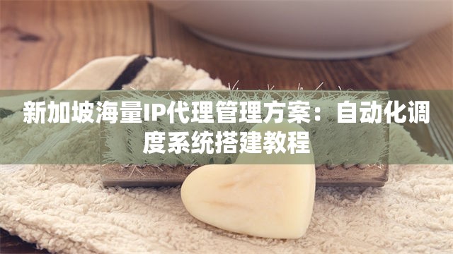 新加坡海量IP代理管理方案：自动化调度系统搭建教程