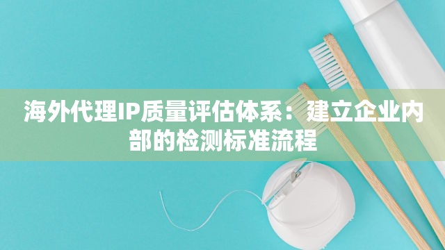 海外代理IP质量评估体系：建立企业内部的检测标准流程