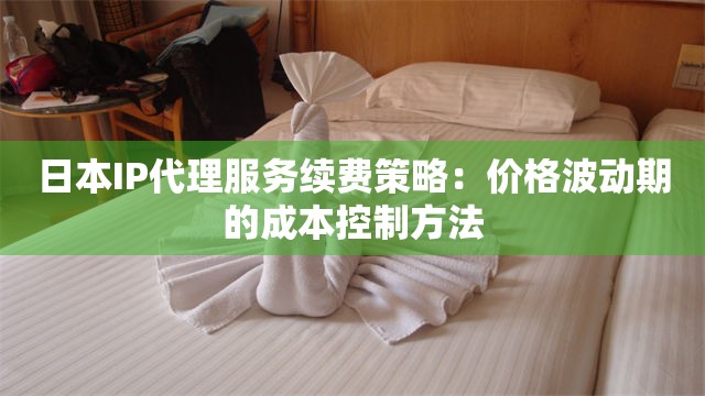 日本IP代理服务续费策略：价格波动期的成本控制方法