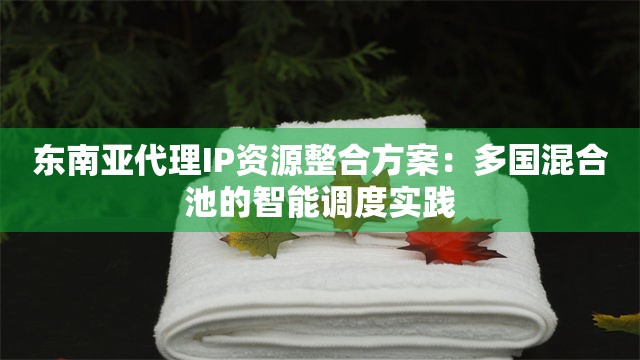 东南亚代理IP资源整合方案：多国混合池的智能调度实践