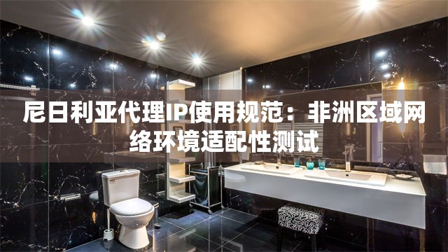 尼日利亚代理IP使用规范：非洲区域网络环境适配性测试