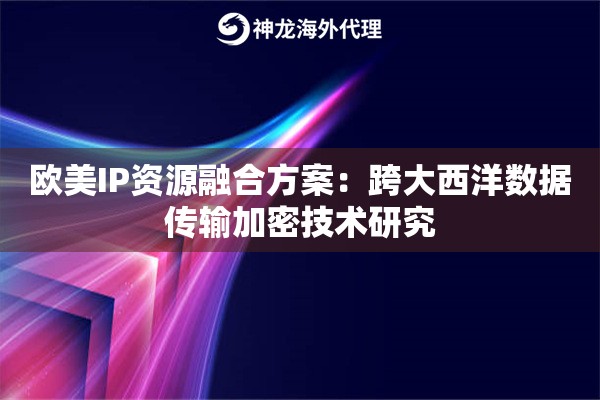 欧美IP资源融合方案：跨大西洋数据传输加密技术研究