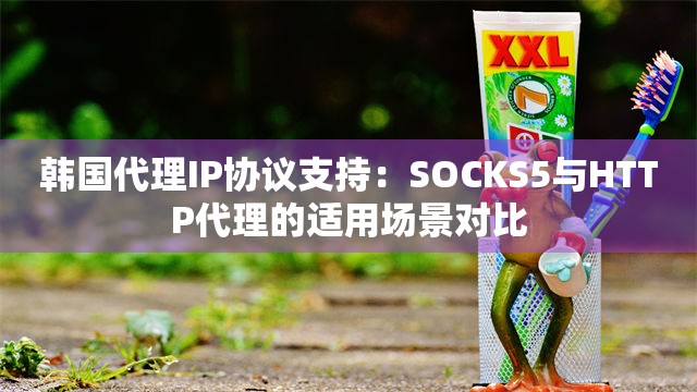 韩国代理IP协议支持：SOCKS5与HTTP代理的适用场景对比