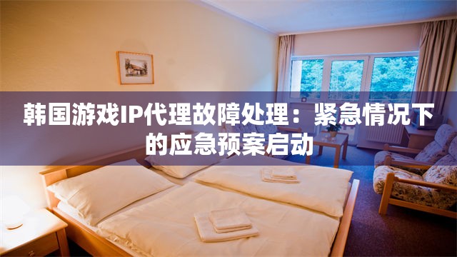 韩国游戏IP代理故障处理：紧急情况下的应急预案启动