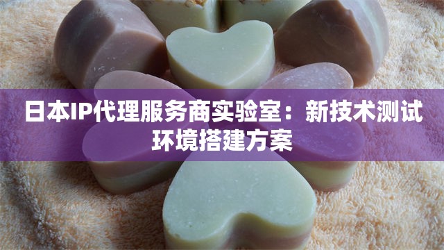 日本IP代理服务商实验室：新技术测试环境搭建方案