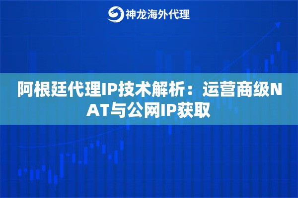 阿根廷代理IP技术解析：运营商级NAT与公网IP获取