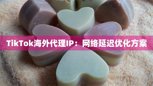 TikTok海外代理IP：网络延迟优化方案