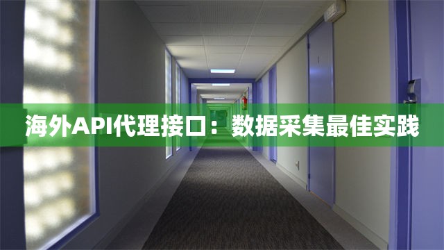 海外API代理接口：数据采集最佳实践