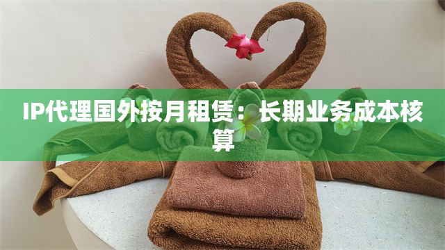 IP代理国外按月租赁：长期业务成本核算