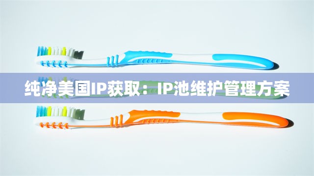 纯净美国IP获取：IP池维护管理方案