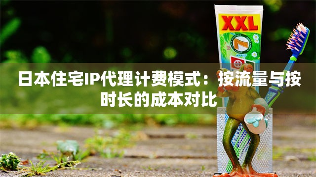 日本住宅IP代理计费模式：按流量与按时长的成本对比