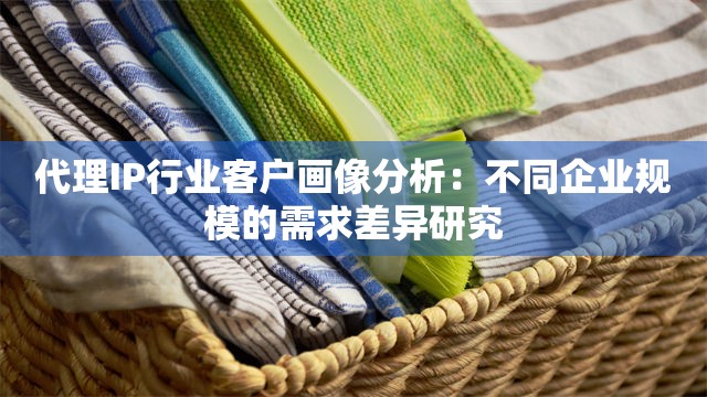 代理IP行业客户画像分析：不同企业规模的需求差异研究