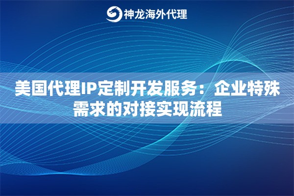 美国代理IP定制开发服务：企业特殊需求的对接实现流程