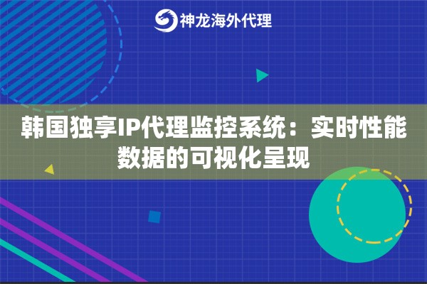 韩国独享IP代理监控系统：实时性能数据的可视化呈现