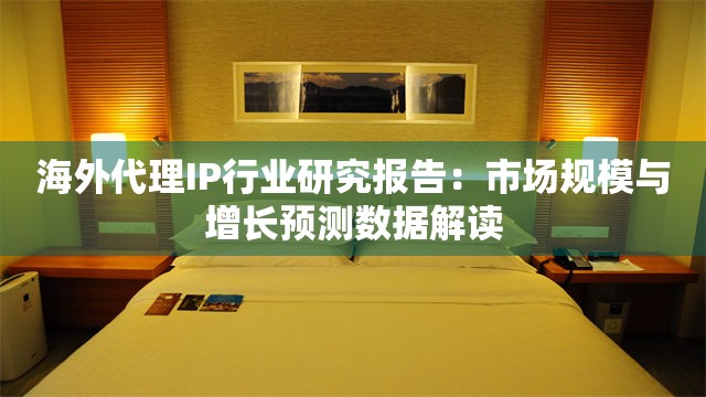 海外代理IP行业研究报告：市场规模与增长预测数据解读