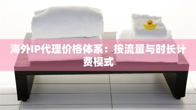 海外IP代理价格体系：按流量与时长计费模式