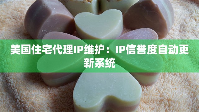 美国住宅代理IP维护：IP信誉度自动更新系统