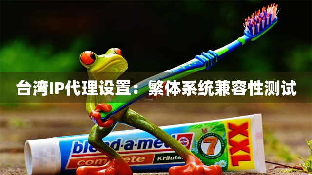 台湾IP代理设置：繁体系统兼容性测试