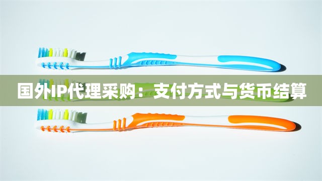 国外IP代理采购：支付方式与货币结算