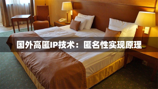国外高匿IP技术：匿名性实现原理