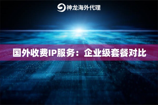 国外收费IP服务：企业级套餐对比