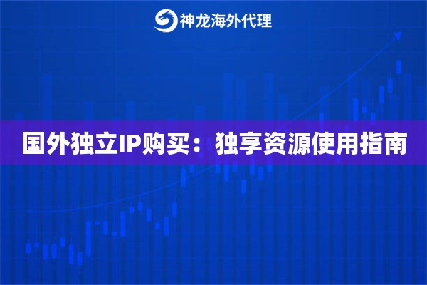 国外独立IP购买：独享资源使用指南