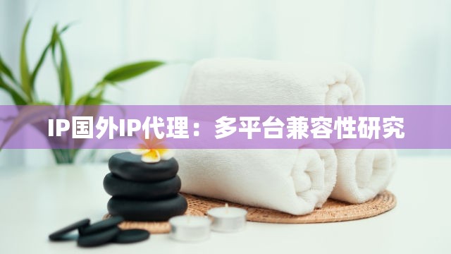 IP国外IP代理：多平台兼容性研究