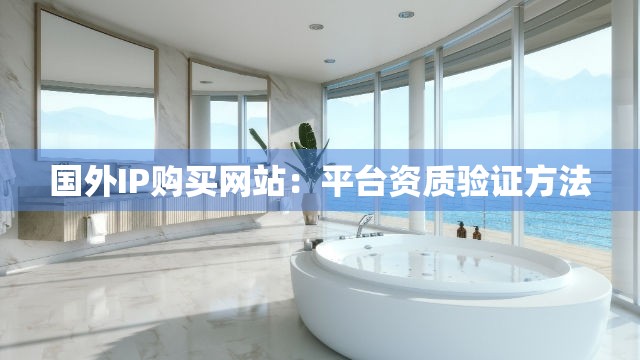 国外IP购买网站：平台资质验证方法