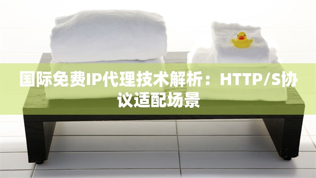 国际免费IP代理技术解析：HTTP/S协议适配场景