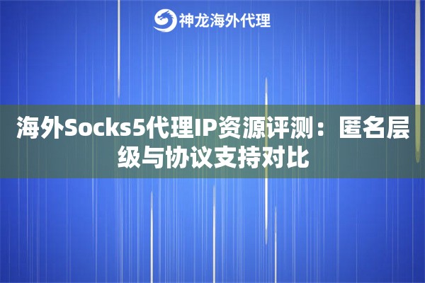 海外Socks5代理IP资源评测：匿名层级与协议支持对比