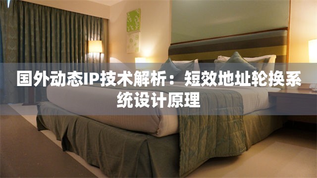 国外动态IP技术解析：短效地址轮换系统设计原理