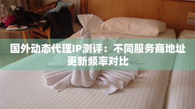 国外动态代理IP测评：不同服务商地址更新频率对比