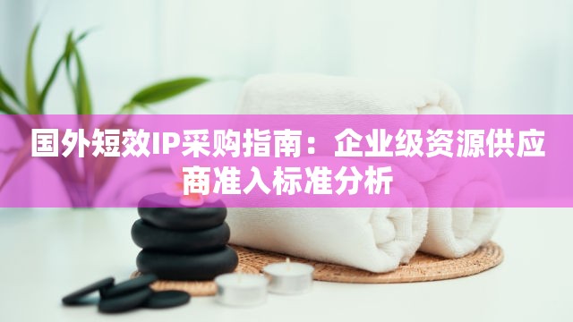 国外短效IP采购指南：企业级资源供应商准入标准分析