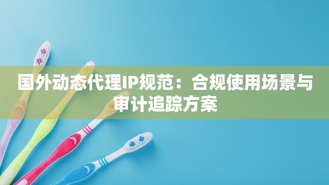 国外动态代理IP规范：合规使用场景与审计追踪方案