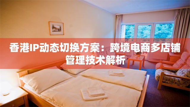 香港IP动态切换方案：跨境电商多店铺管理技术解析