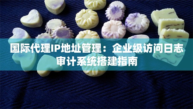 国际代理IP地址管理：企业级访问日志审计系统搭建指南