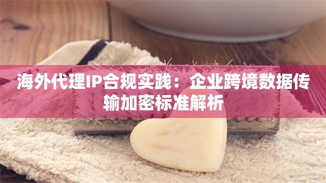 海外代理IP合规实践：企业跨境数据传输加密标准解析