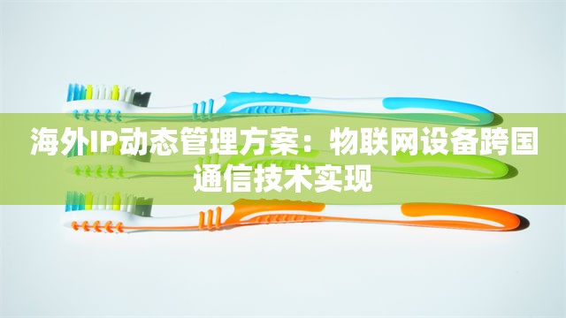 海外IP动态管理方案：物联网设备跨国通信技术实现