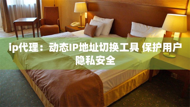 ip代理：动态IP地址切换工具 保护用户隐私安全