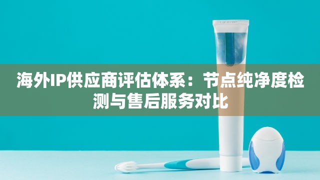 海外IP供应商评估体系：节点纯净度检测与售后服务对比