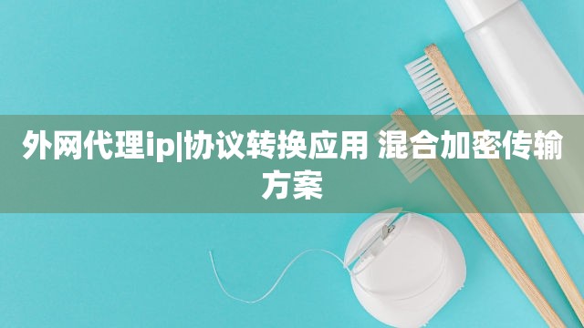 外网代理ip|协议转换应用 混合加密传输方案