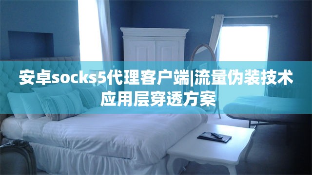 安卓socks5代理客户端|流量伪装技术 应用层穿透方案