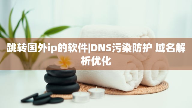 跳转国外ip的软件|DNS污染防护 域名解析优化