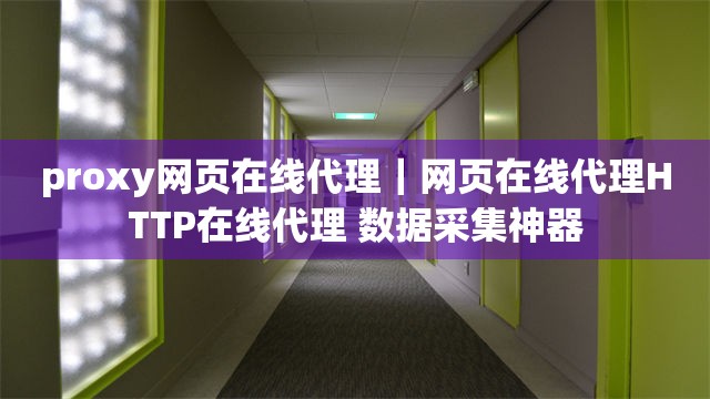 proxy网页在线代理｜网页在线代理HTTP在线代理 数据采集神器