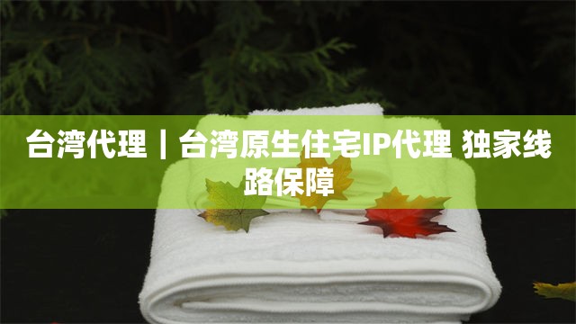 台湾代理｜台湾原生住宅IP代理 独家线路保障