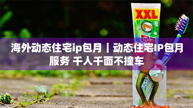 海外动态住宅ip包月｜动态住宅IP包月服务 千人千面不撞车